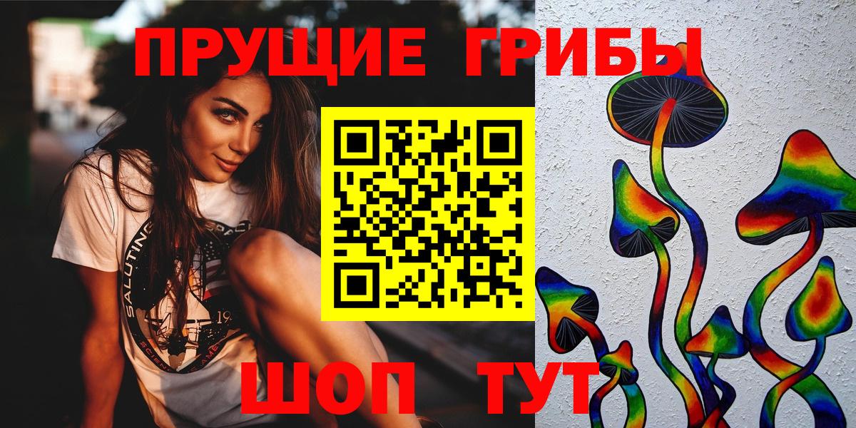 Галлюциногенные грибы Cubensis Мурино