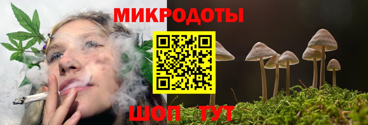 дарнет шоп  Вход с VPN  Мурино  Галлюциногенные грибы Cubensis  Псилоцибиновые грибы Psilocybine cubensis 